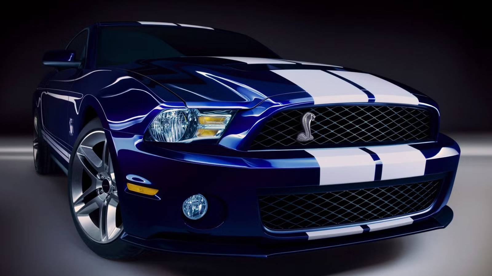 2010-2014 Ford Mustang Shelby GT500 Front